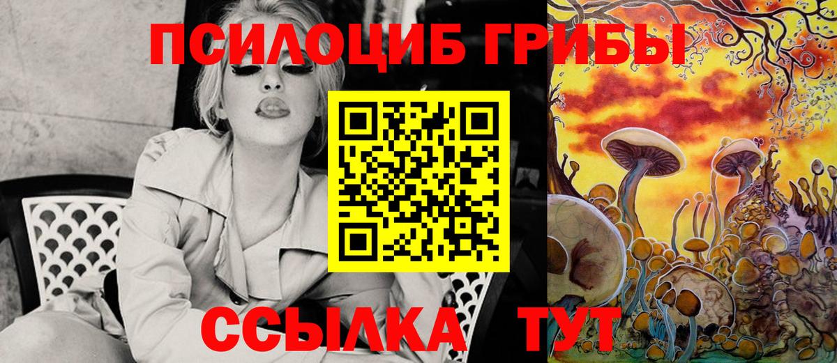 Аргун  Псилоцибиновые грибы Psilocybine cubensis  Галлюциногенные грибы Psilocybe  Вход с VPN 