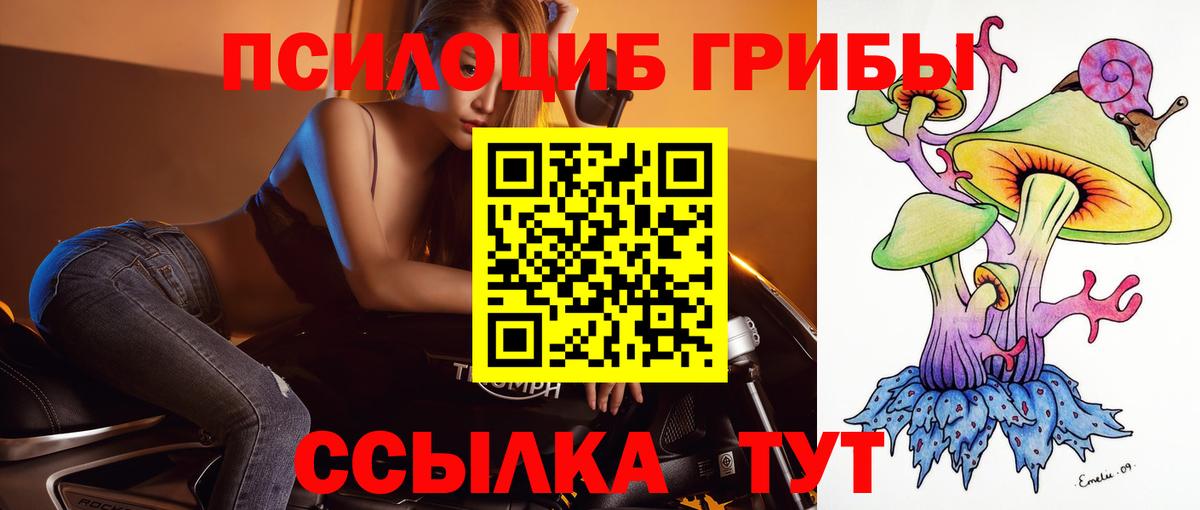 Псилоцибиновые грибы Psilocybe Аргун